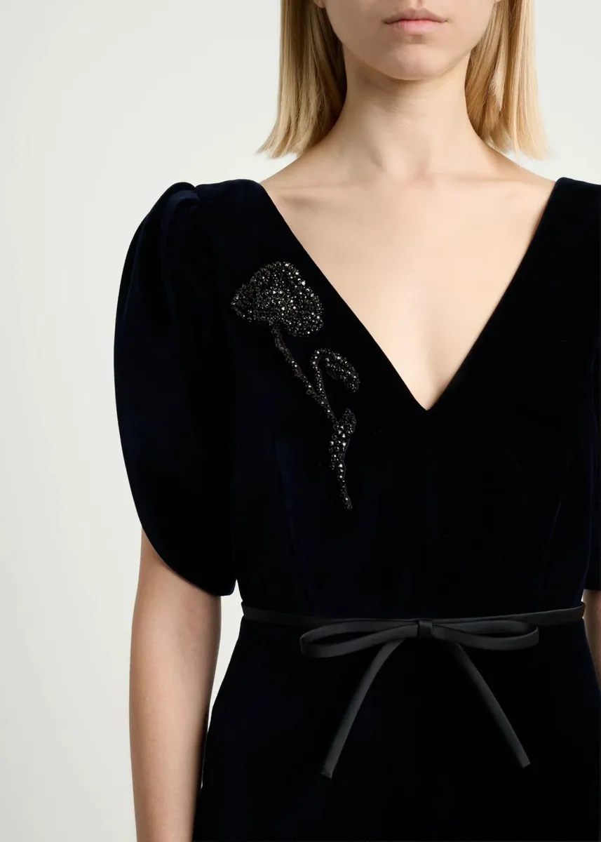 Erdem Embellished Velvet Short-Sleeve A-Line Midi Dress | Thumbnail 5 Erdem Embellished Velvet Short-Sleeve A-Line Midi Dress | Thumbnail 5