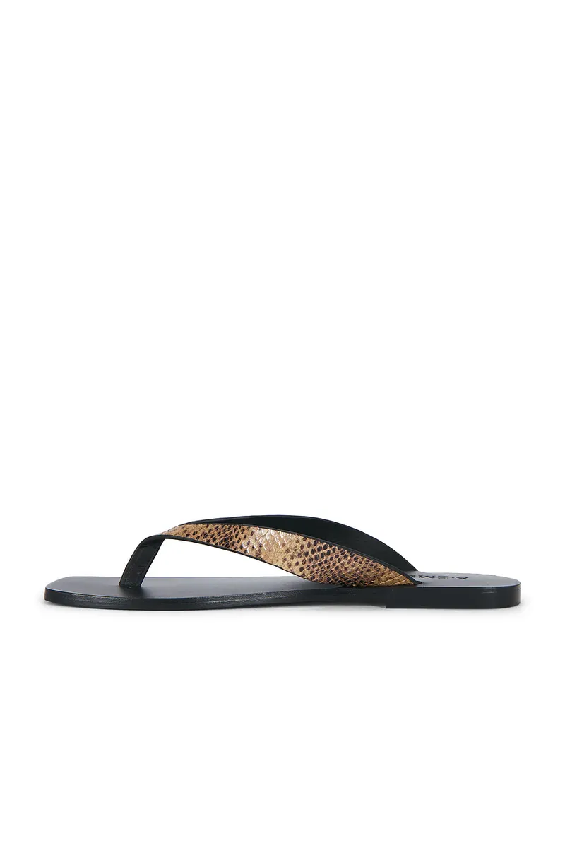 A Emery Kinto Sandal | Thumbnail 5 A Emery Kinto Sandal | Thumbnail 5