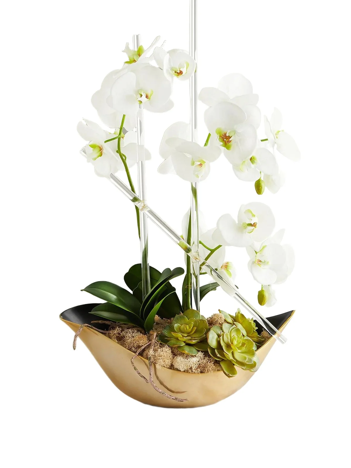John-Richard Collection Cambridge Artificial Orchid Floral Arrangement