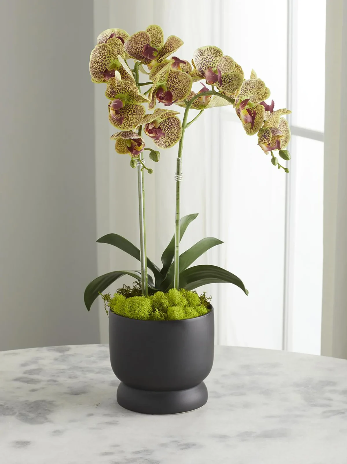 TC Floral Artificial Double Orchid Arrangement
