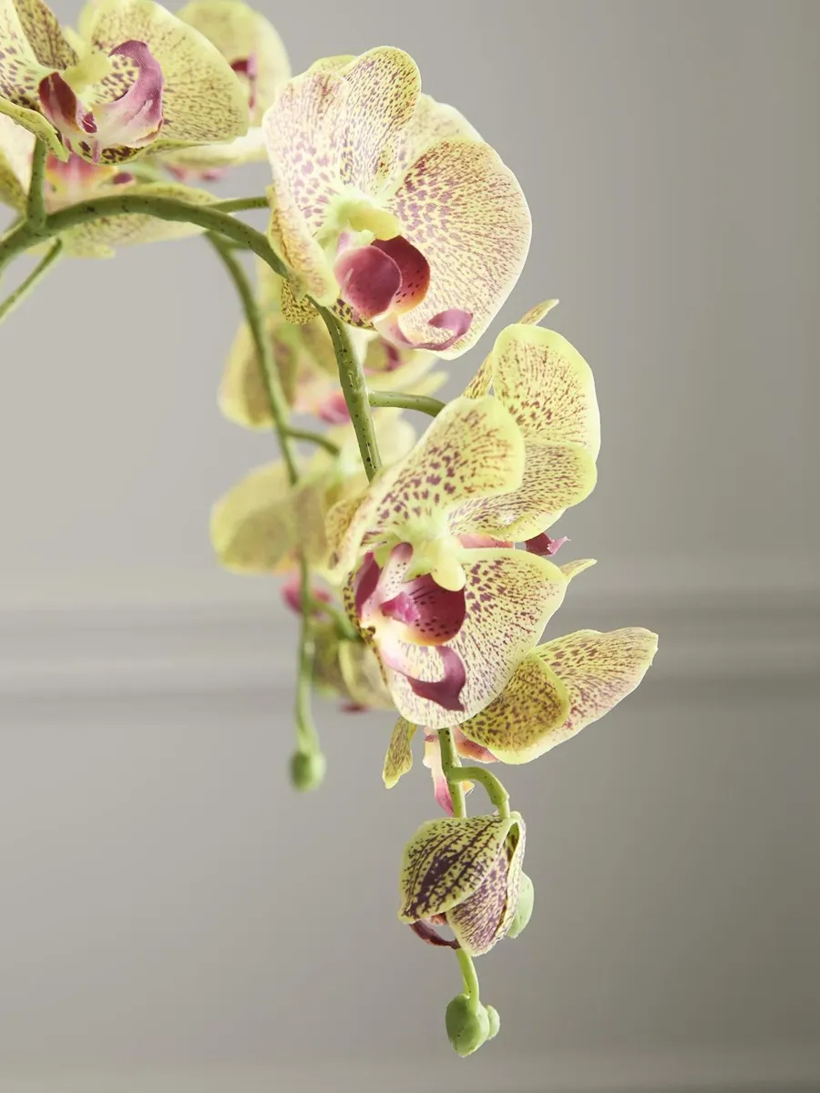 TC Floral Artificial Triple Orchid Floral Arrangement | Thumbnail 3 TC Floral Artificial Triple Orchid Floral Arrangement | Thumbnail 3