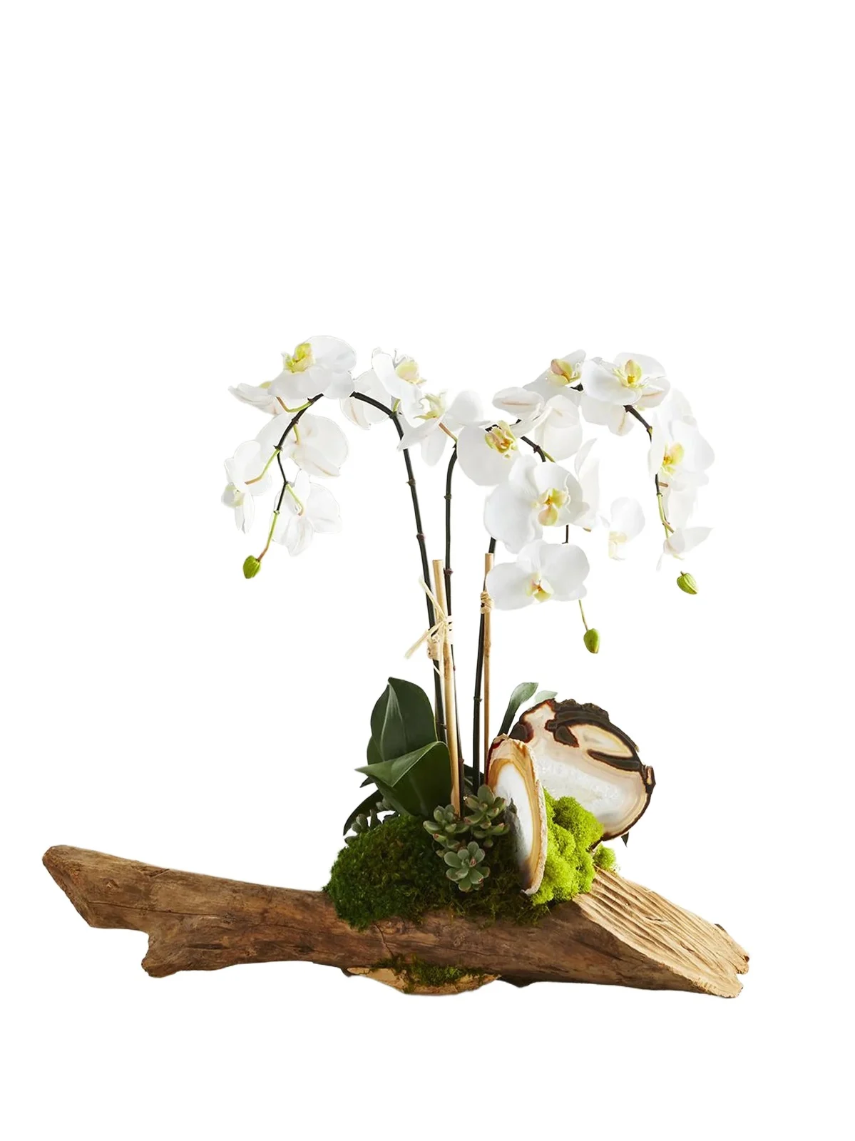 TC Floral Artificial Orchid Floral Arrangement