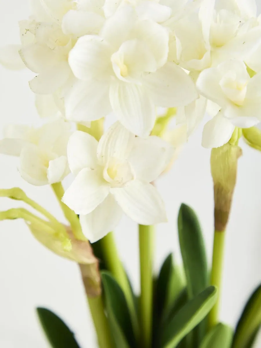 TC Floral Artificial Paperwhite Narcissus Floral Arrangement | Thumbnail 2 TC Floral Artificial Paperwhite Narcissus Floral Arrangement | Thumbnail 2