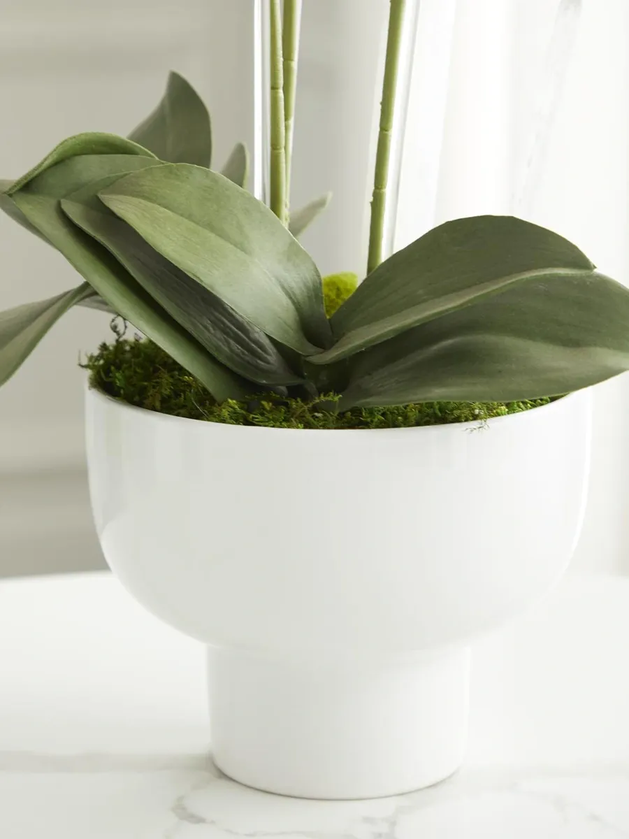 TC Floral Artificial Triple Orchid Floral Arrangement | Thumbnail 2 TC Floral Artificial Triple Orchid Floral Arrangement | Thumbnail 2