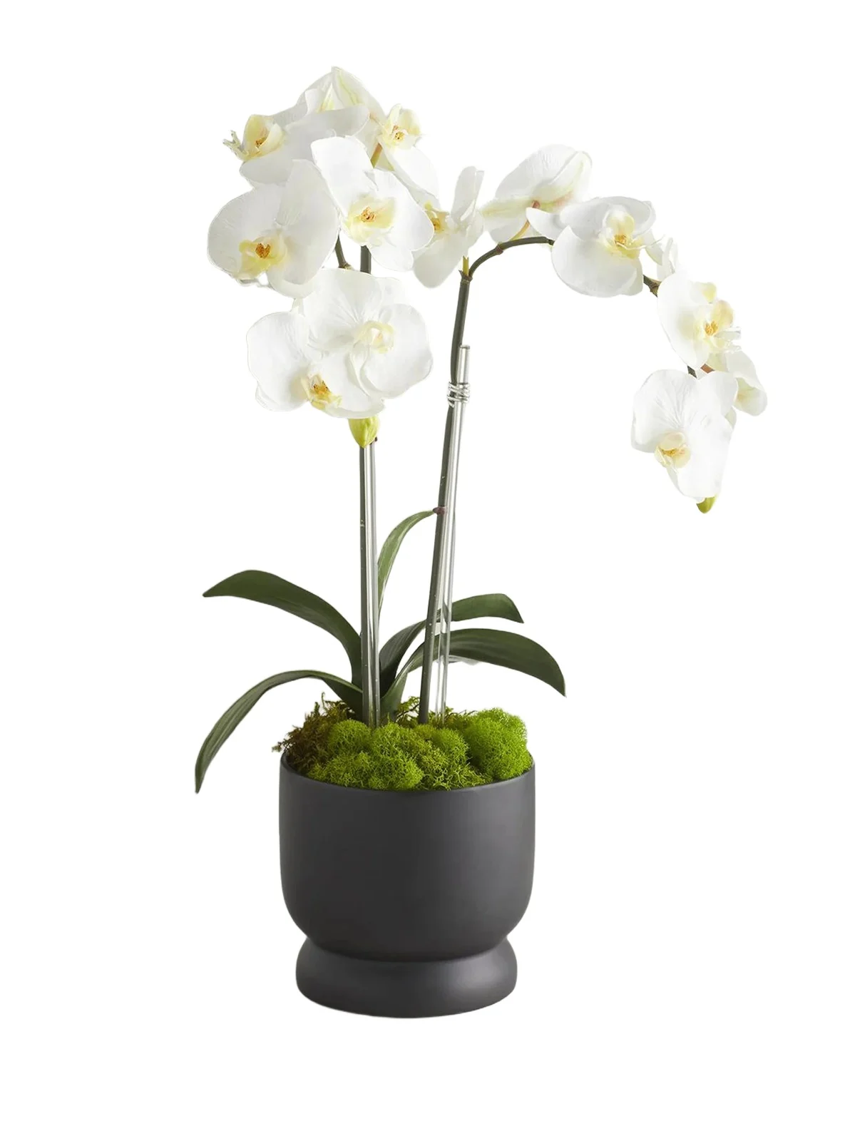 TC Floral Artificial Double Orchid Arrangement