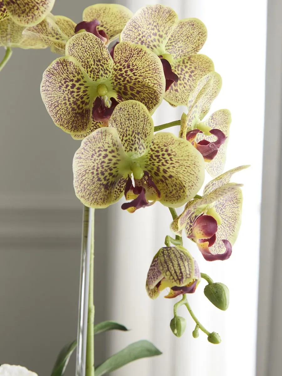 TC Floral Artificial Double Orchid Arrangement | Thumbnail 3 TC Floral Artificial Double Orchid Arrangement | Thumbnail 3