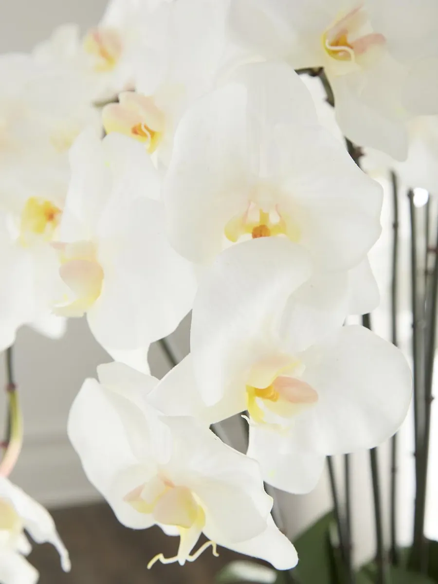 TC Floral Artifical Orchid Floral Arrangement | Thumbnail 3 TC Floral Artifical Orchid Floral Arrangement | Thumbnail 3