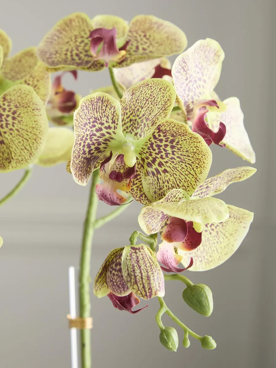 TC Floral Artificial Orchid Floral Arrangement | Thumbnail 3 TC Floral Artificial Orchid Floral Arrangement | Thumbnail 3