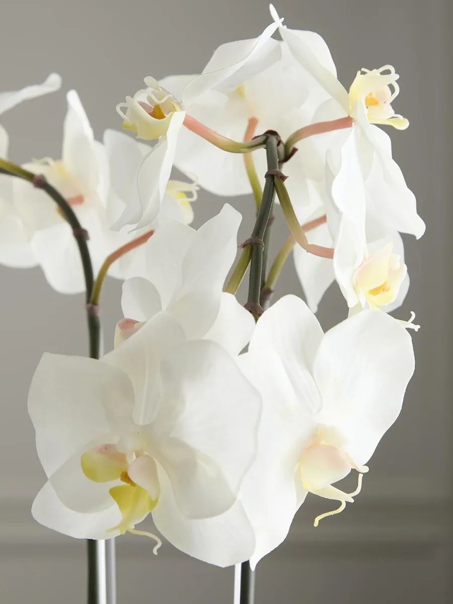 TC Floral Artificial Orchid Floral Arrangement | Thumbnail 5 TC Floral Artificial Orchid Floral Arrangement | Thumbnail 5