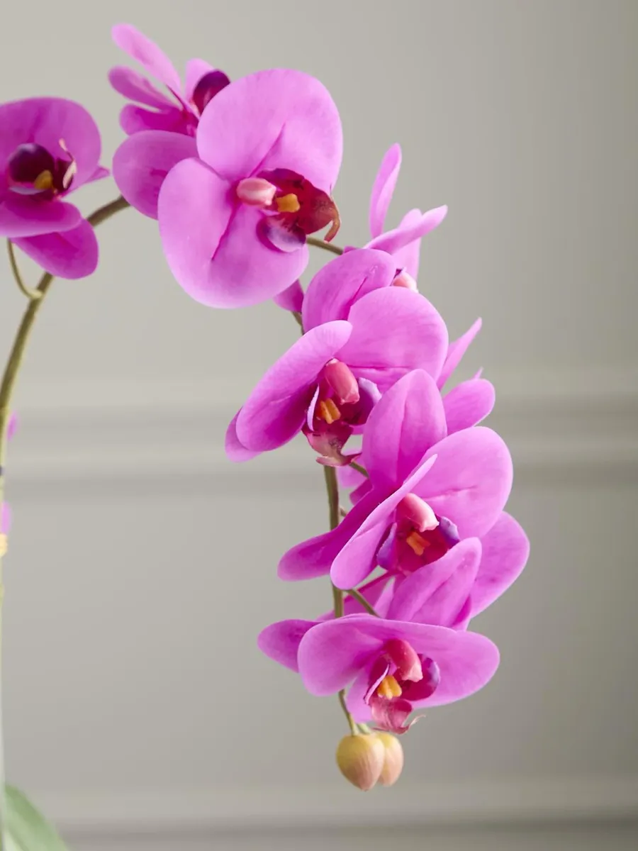 TC Floral Artificial Triple Orchid Floral Arrangement | Thumbnail 3 TC Floral Artificial Triple Orchid Floral Arrangement | Thumbnail 3