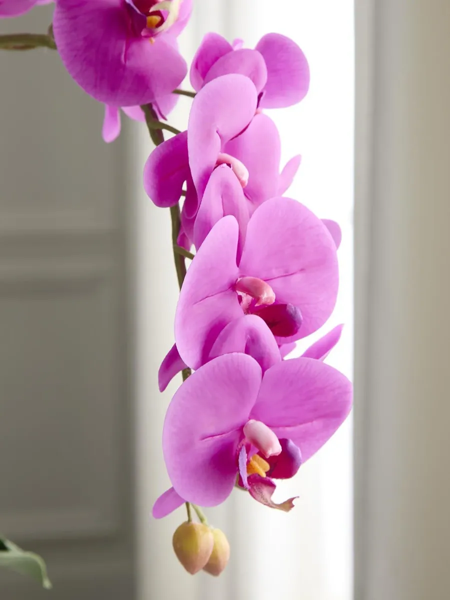 TC Floral Artificial Double Orchid Arrangement | Thumbnail 4 TC Floral Artificial Double Orchid Arrangement | Thumbnail 4