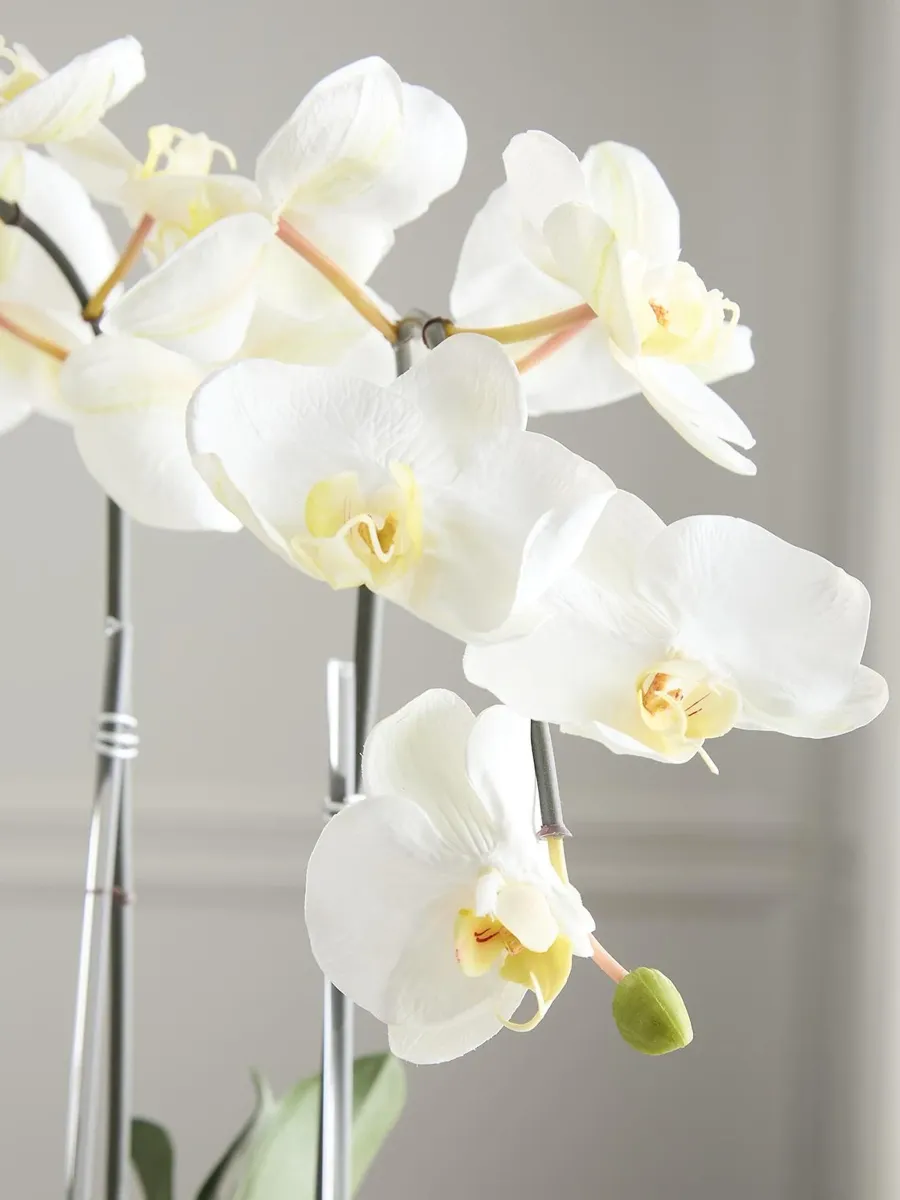 TC Floral Artificial Double Orchid Arrangement | Thumbnail 5 TC Floral Artificial Double Orchid Arrangement | Thumbnail 5