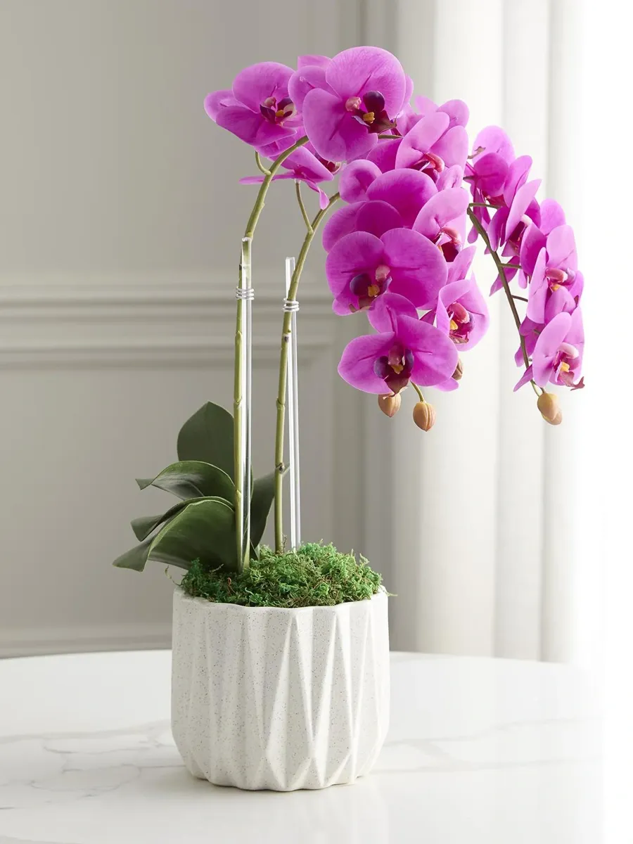 TC Floral Artificial Double Orchid Floral Arrangement | Thumbnail 2 TC Floral Artificial Double Orchid Floral Arrangement | Thumbnail 2