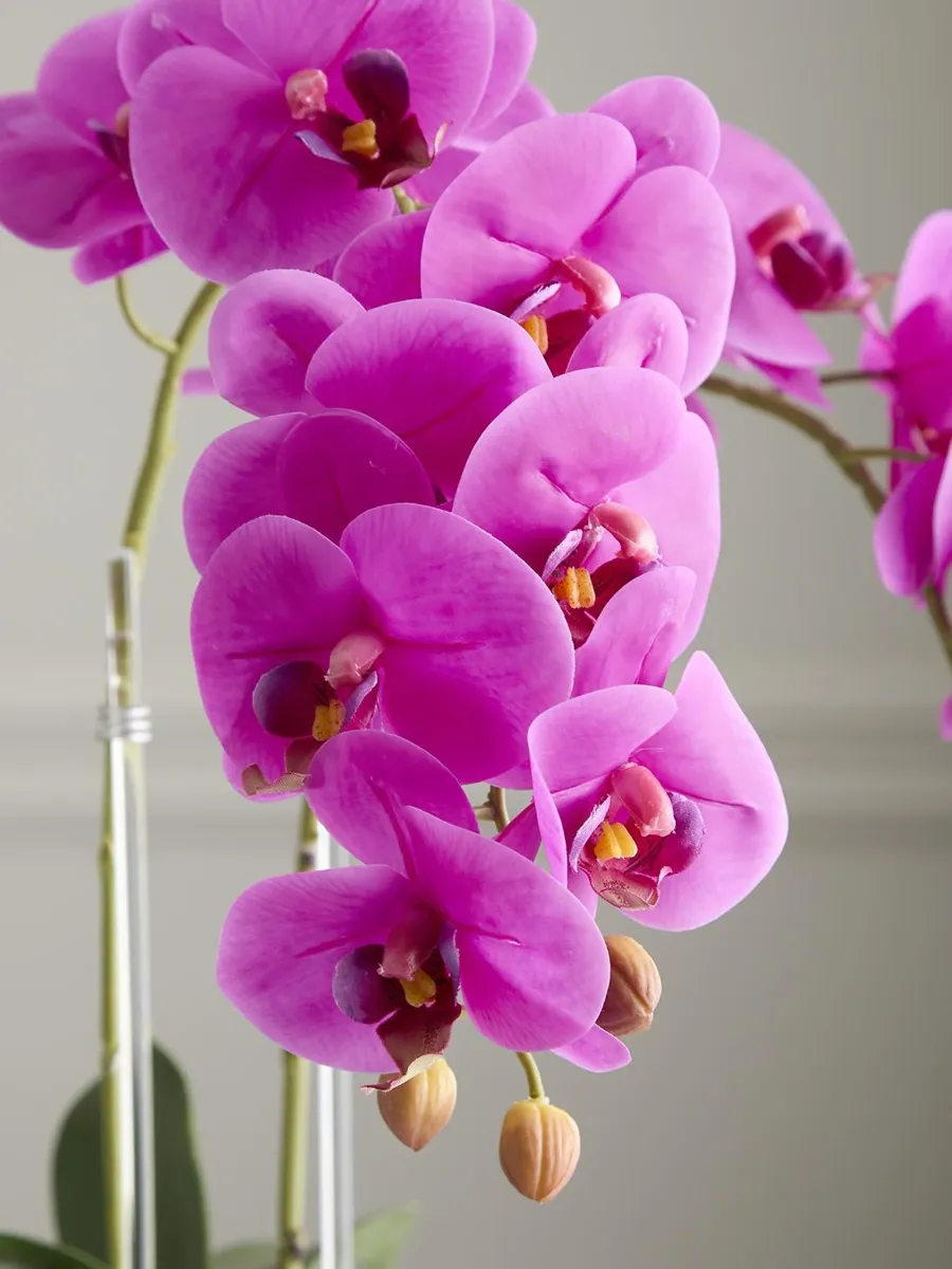 TC Floral Artificial Double Orchid Floral Arrangement | Thumbnail 3 TC Floral Artificial Double Orchid Floral Arrangement | Thumbnail 3