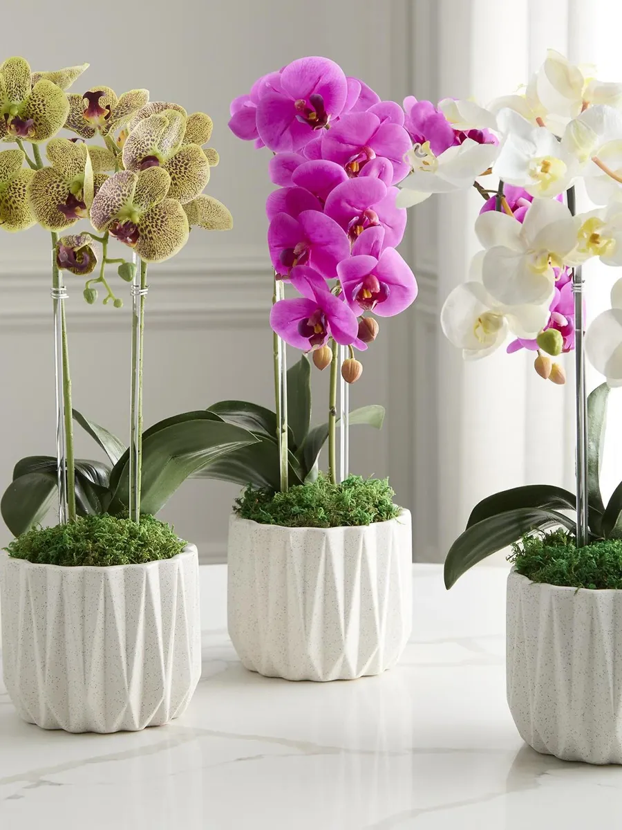 TC Floral Artificial Double Orchid Floral Arrangement | Thumbnail 5 TC Floral Artificial Double Orchid Floral Arrangement | Thumbnail 5