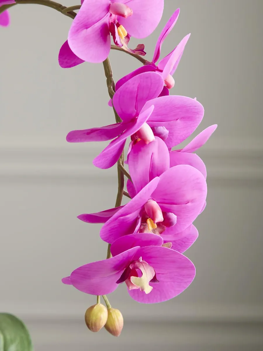 TC Floral Artificial Triple Orchid Floral Arrangement | Thumbnail 3 TC Floral Artificial Triple Orchid Floral Arrangement | Thumbnail 3