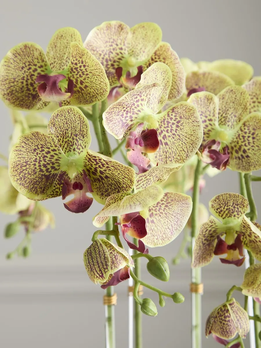 TC Floral Artificial Orchids & Quartz Arrangement - Green | Thumbnail 4 TC Floral Artificial Orchids & Quartz Arrangement - Green | Thumbnail 4