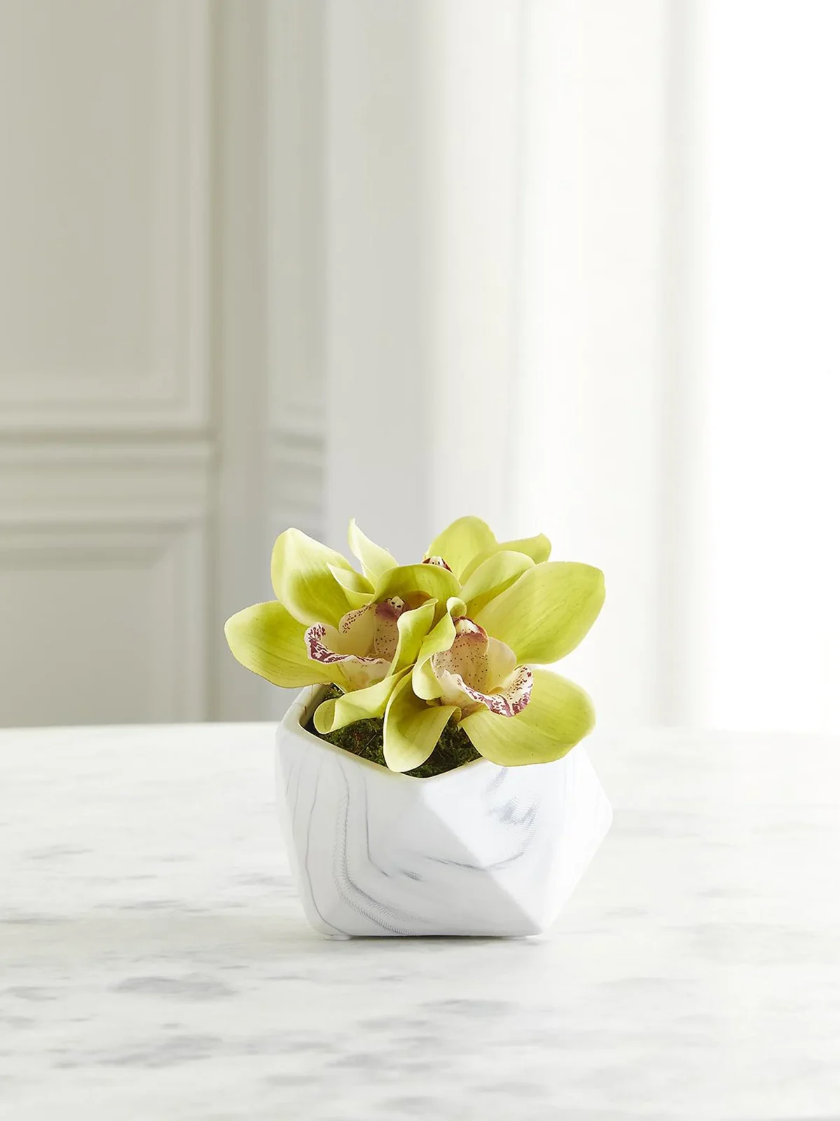 TC Floral Artificial Orchid Floral Arrangement