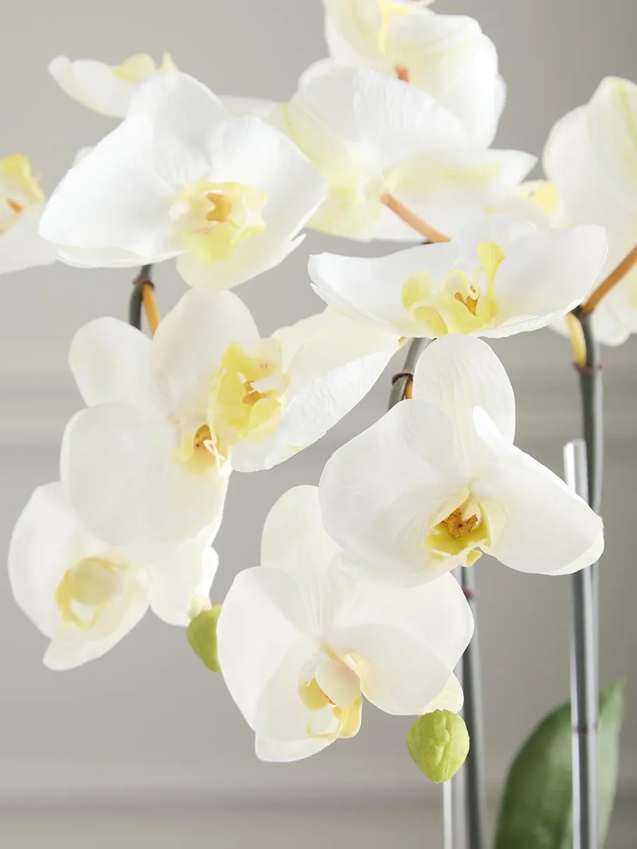 TC Floral Artificial Double Orchid Floral Arrangement | Thumbnail 4 TC Floral Artificial Double Orchid Floral Arrangement | Thumbnail 4