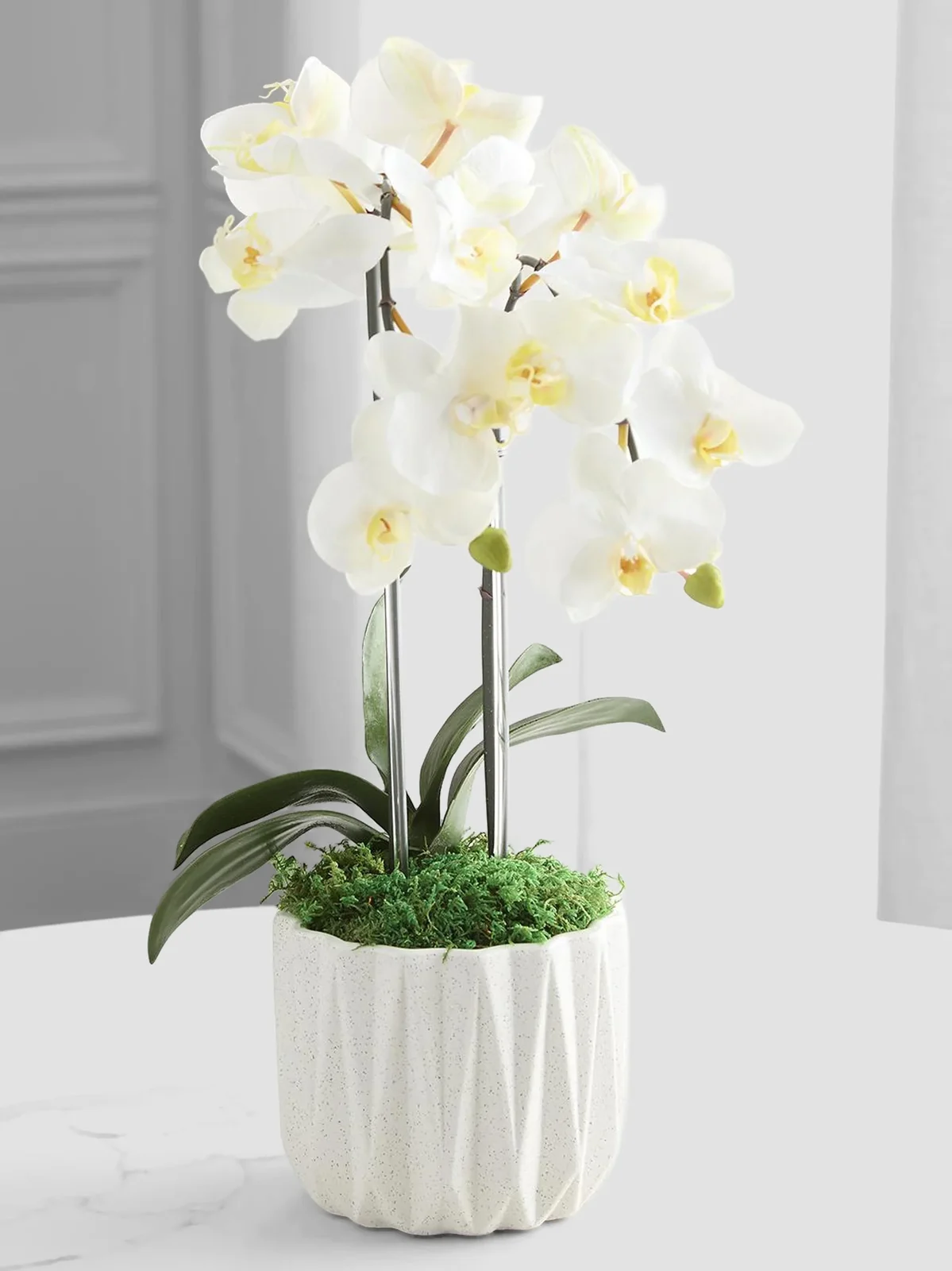 TC Floral Artificial Double Orchid Floral Arrangement
