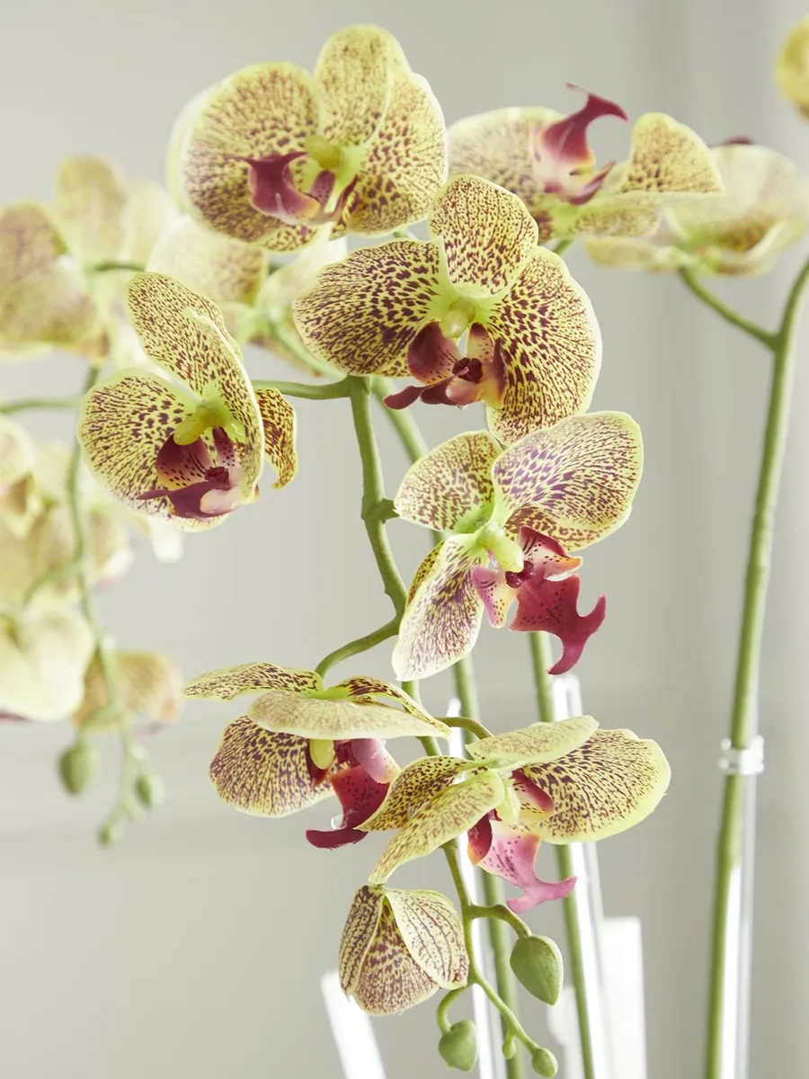 TC Floral Artificial Triple Orchid Floral Arrangement | Thumbnail 2 TC Floral Artificial Triple Orchid Floral Arrangement | Thumbnail 2