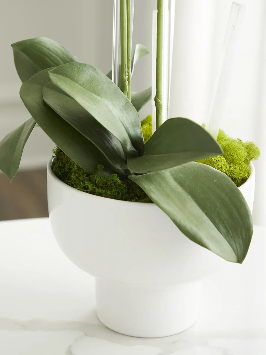 TC Floral Artificial Triple Orchid Floral Arrangement | Thumbnail 3 TC Floral Artificial Triple Orchid Floral Arrangement | Thumbnail 3