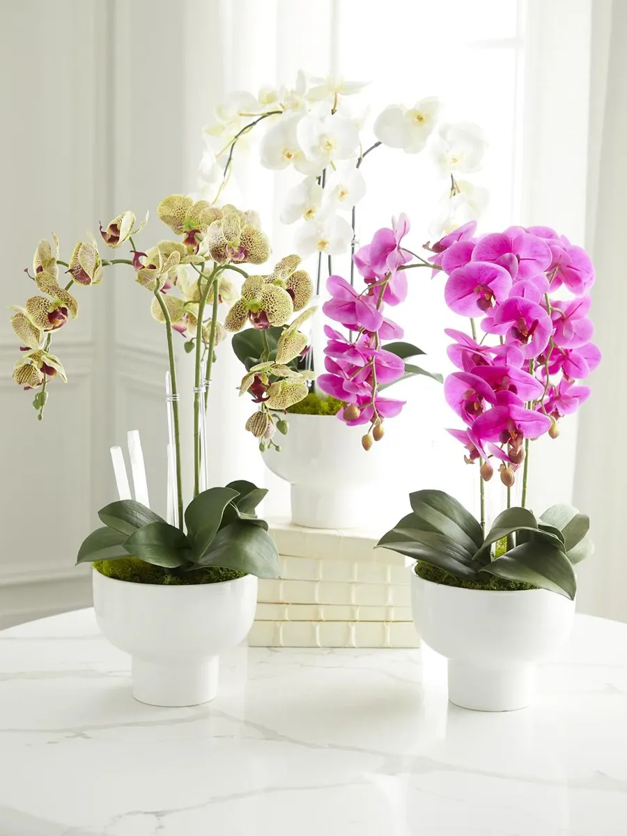 TC Floral Artificial Triple Orchid Floral Arrangement | Thumbnail 4 TC Floral Artificial Triple Orchid Floral Arrangement | Thumbnail 4