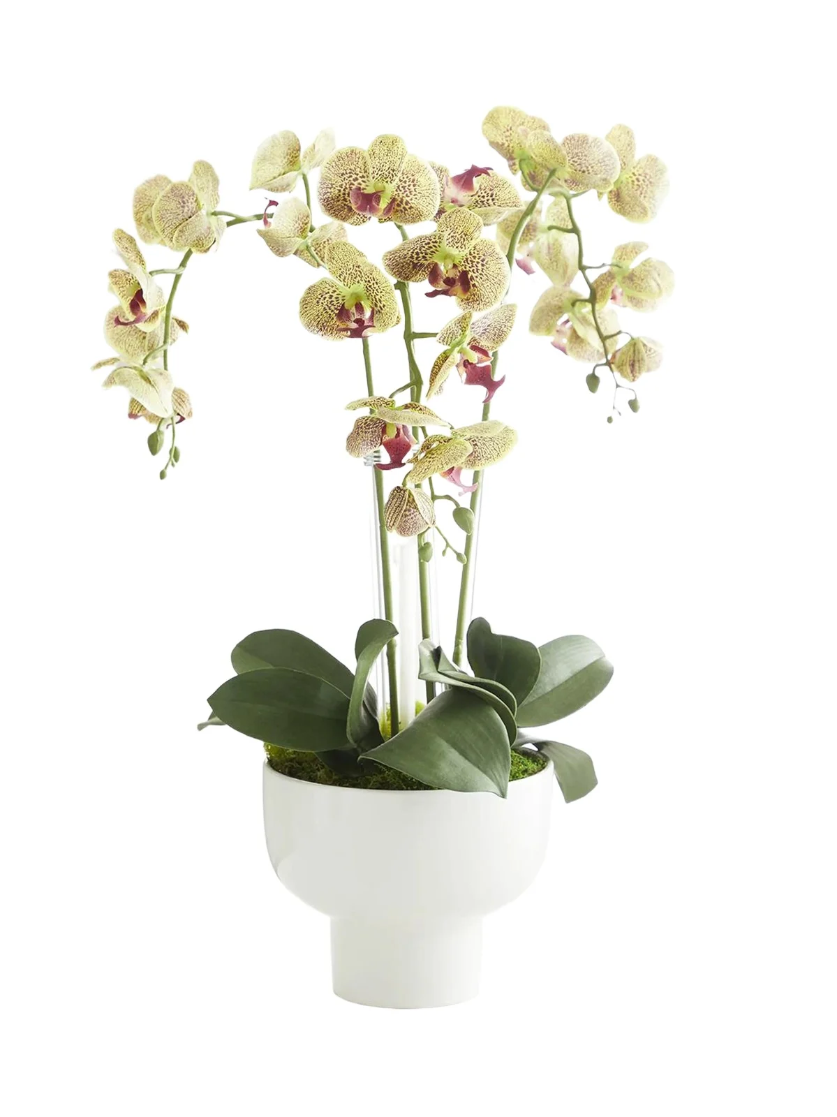 Artificial Triple Orchid Floral Arrangement Artificial Triple Orchid Floral Arrangement