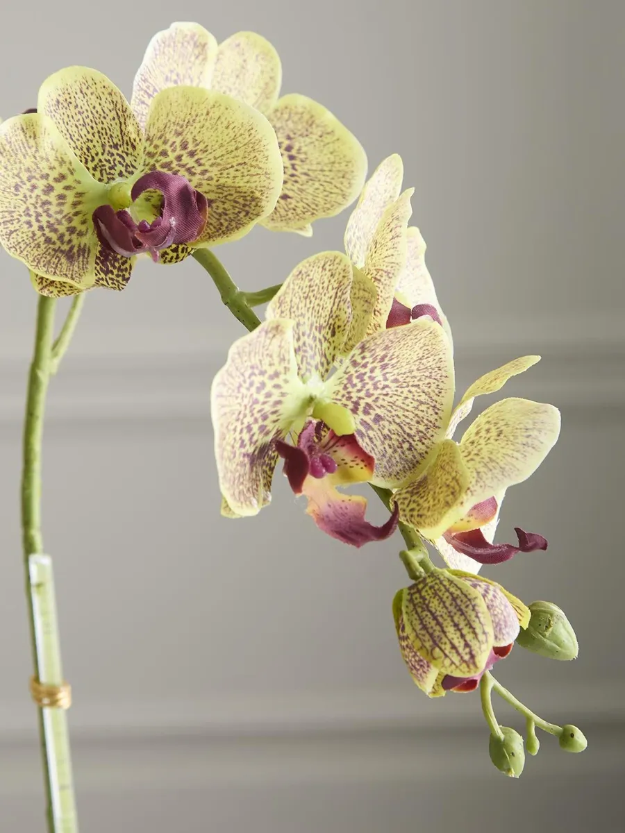 TC Floral Artificial Triple Orchid Floral Arrangement | Thumbnail 3 TC Floral Artificial Triple Orchid Floral Arrangement | Thumbnail 3