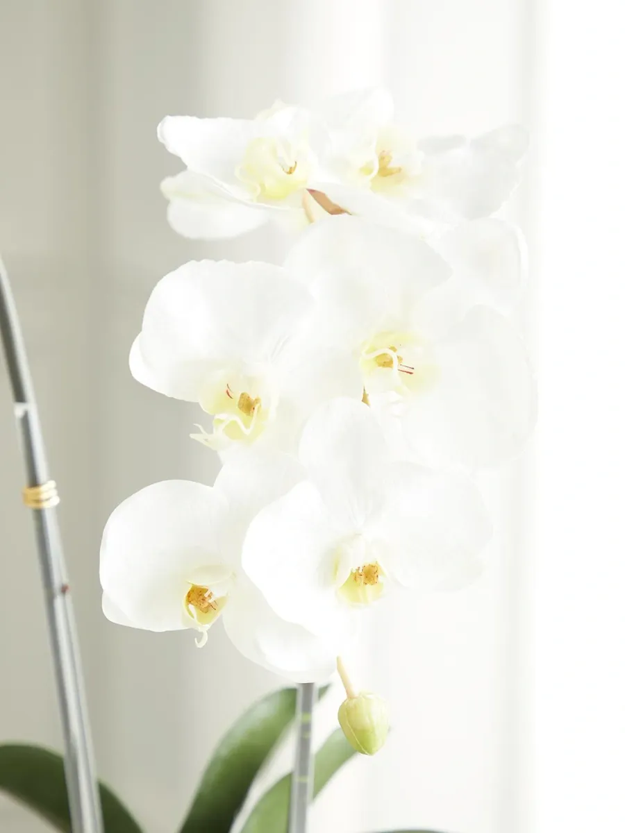 TC Floral Artificial Double Orchid Flower Arrangement | Thumbnail 2 TC Floral Artificial Double Orchid Flower Arrangement | Thumbnail 2