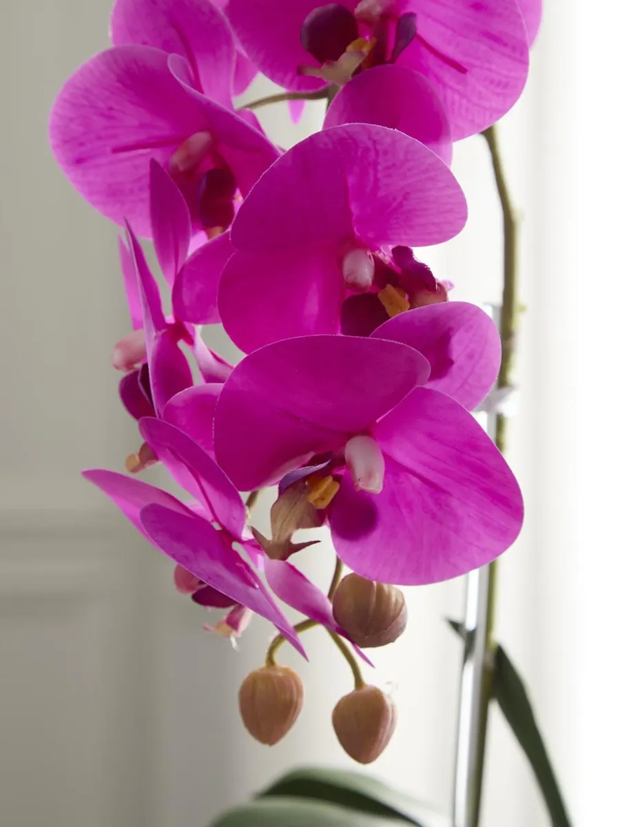 TC Floral Artificial Double Orchid Floral Arrangement | Thumbnail 3 TC Floral Artificial Double Orchid Floral Arrangement | Thumbnail 3
