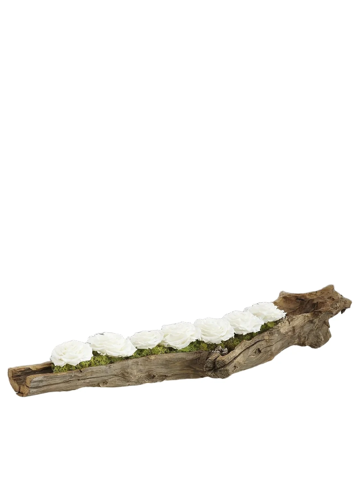 TC Floral Preserved Roses Floral Arrangement
