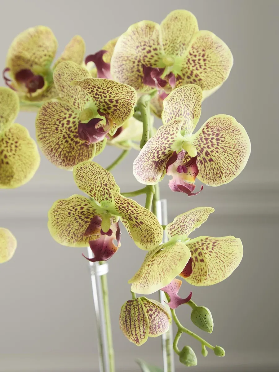 TC Floral Artificial Double Orchid Floral Arrangement | Thumbnail 4 TC Floral Artificial Double Orchid Floral Arrangement | Thumbnail 4