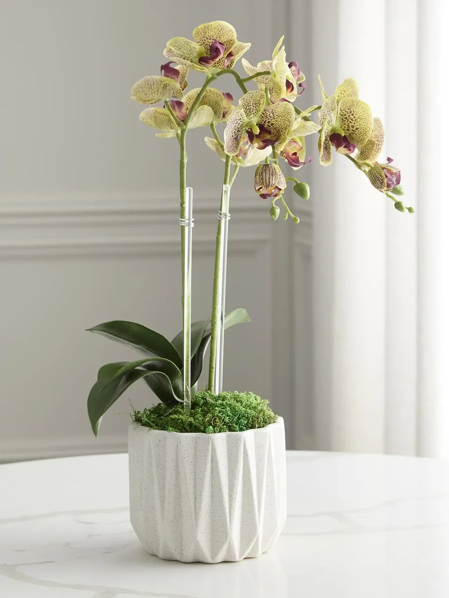 TC Floral Artificial Double Orchid Floral Arrangement | Thumbnail 2 TC Floral Artificial Double Orchid Floral Arrangement | Thumbnail 2