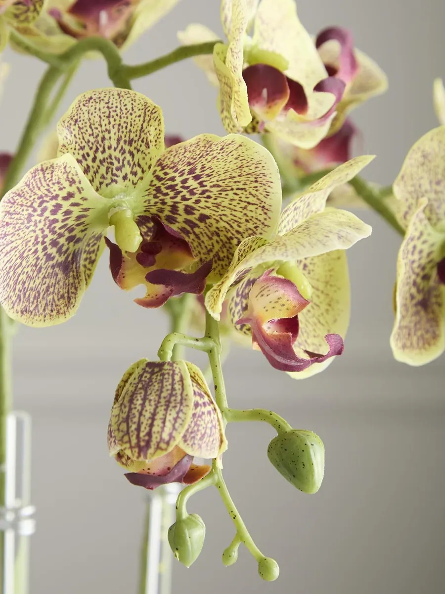 TC Floral Artificial Double Orchid Floral Arrangement | Thumbnail 3 TC Floral Artificial Double Orchid Floral Arrangement | Thumbnail 3