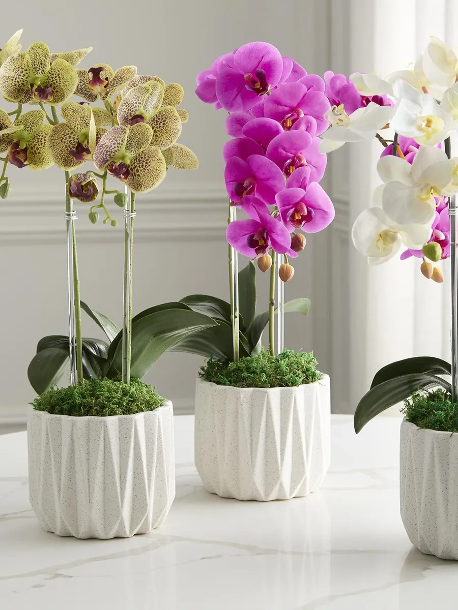 TC Floral Artificial Double Orchid Floral Arrangement | Thumbnail 5 TC Floral Artificial Double Orchid Floral Arrangement | Thumbnail 5