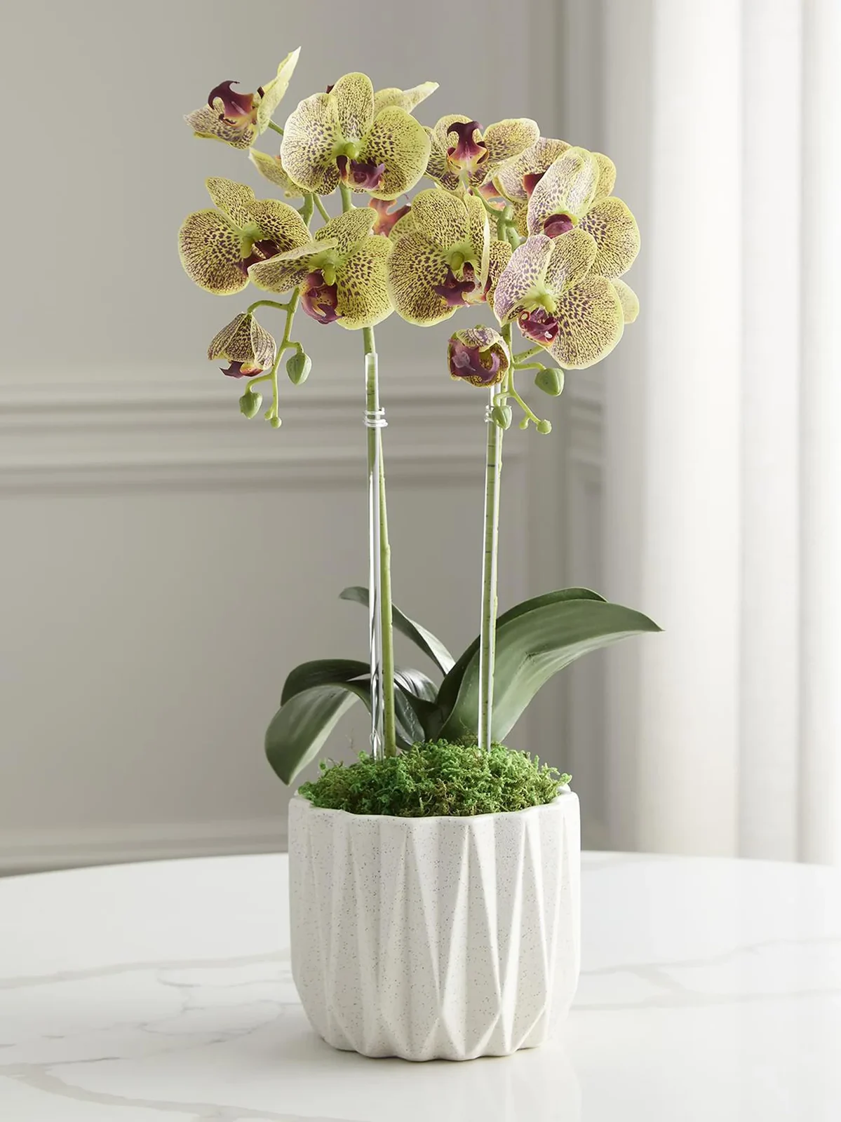 TC Floral Artificial Double Orchid Floral Arrangement