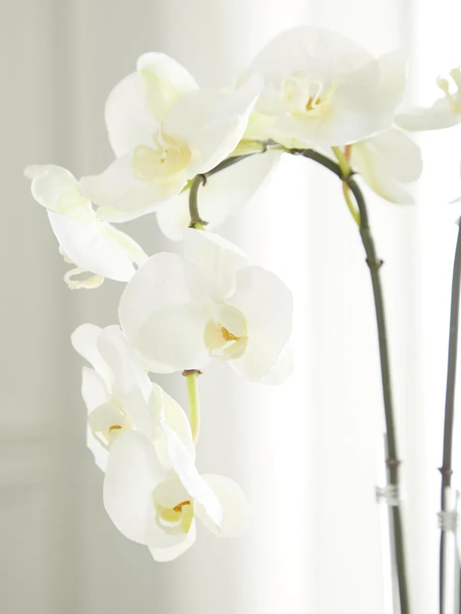 TC Floral Artificial Triple Orchid Floral Arrangement | Thumbnail 2 TC Floral Artificial Triple Orchid Floral Arrangement | Thumbnail 2
