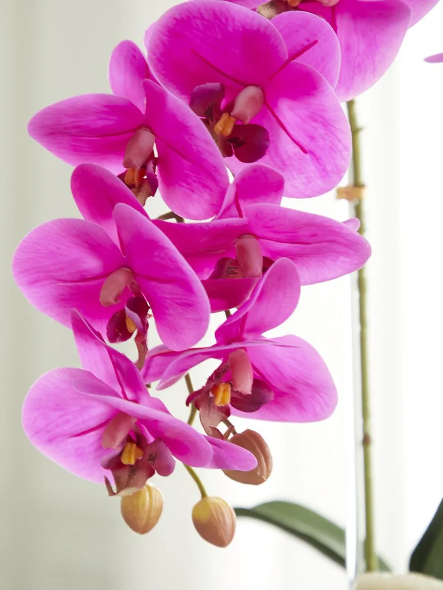 TC Floral Artificial Double Orchid Flower Arrangement | Thumbnail 2 TC Floral Artificial Double Orchid Flower Arrangement | Thumbnail 2