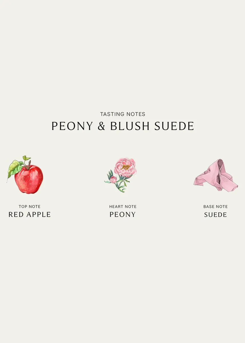 Jo Malone London Peony & Blush Suede Car Diffuser Refill | Thumbnail 4 Jo Malone London Peony & Blush Suede Car Diffuser Refill | Thumbnail 4