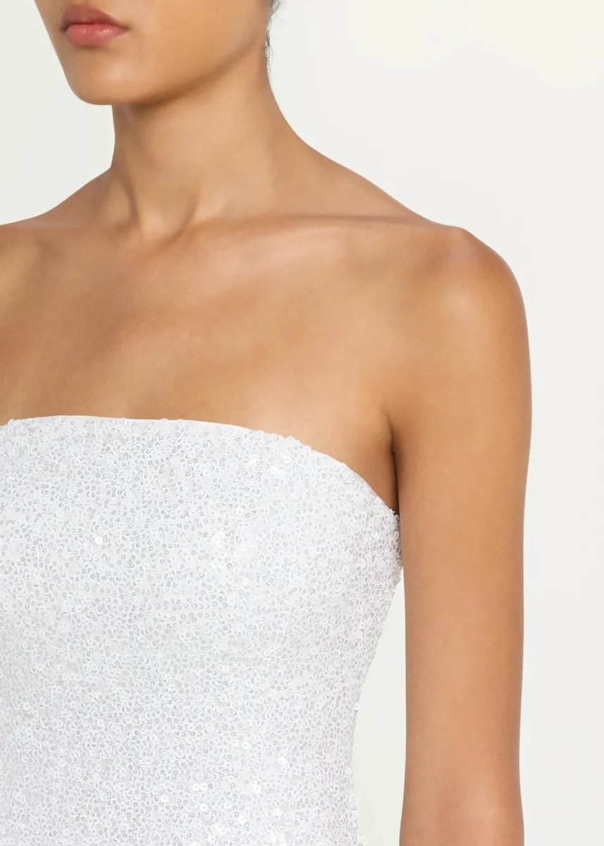 Ramy Brook Fawn Sequined Strapless Mini Dress | Thumbnail 5