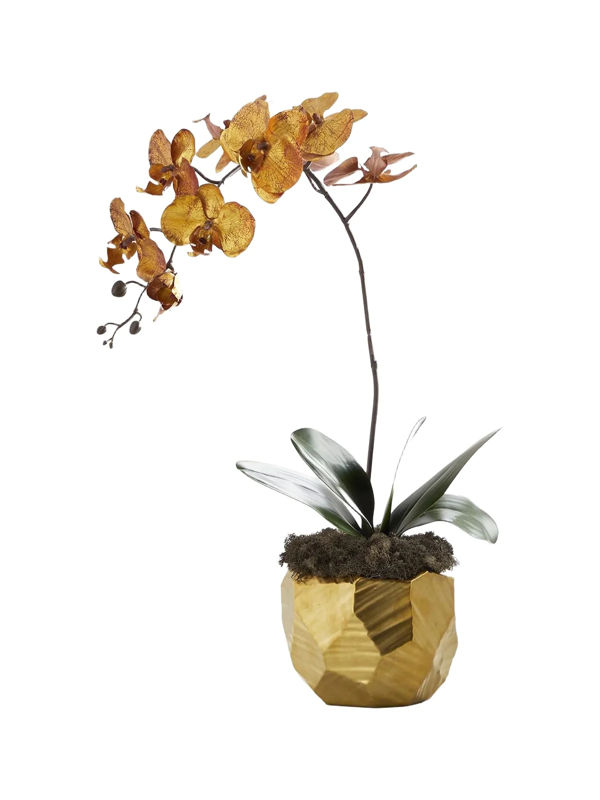Burnished Orchid Arrangement