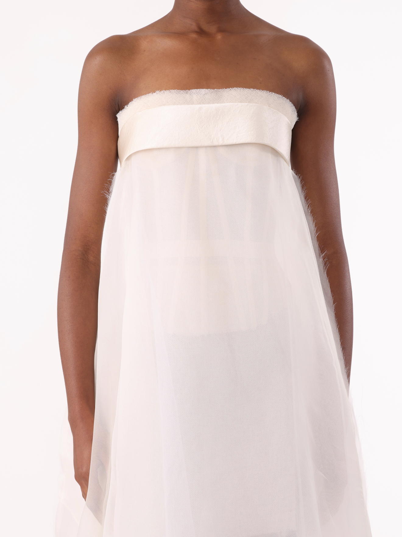Jason Wu Collection PRE-ORDER Strapless Banded Translucent Gown | Thumbnail 3 Jason Wu Collection PRE-ORDER Strapless Banded Translucent Gown | Thumbnail 3