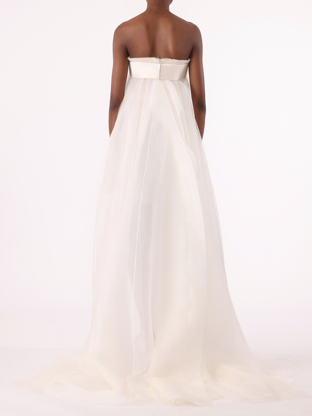 Jason Wu Collection PRE-ORDER Strapless Banded Translucent Gown | Thumbnail 4 Jason Wu Collection PRE-ORDER Strapless Banded Translucent Gown | Thumbnail 4